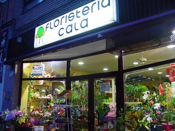 floristeria cala su floristeria en valladolid